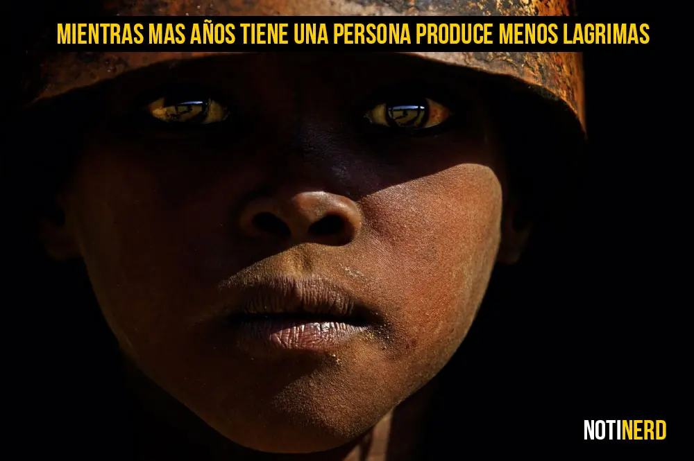 ojos grises