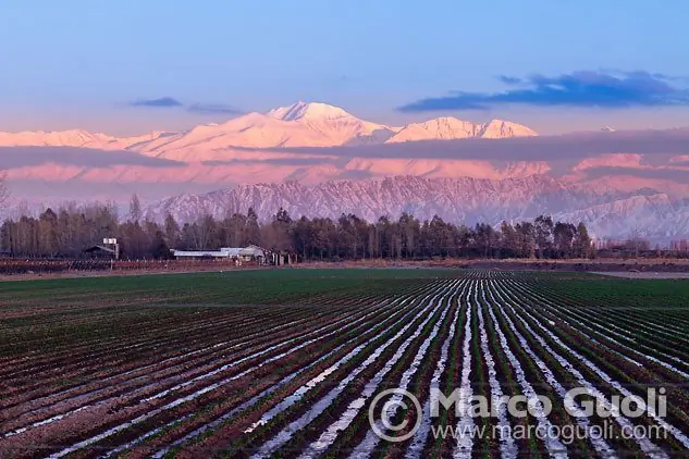 mendoza