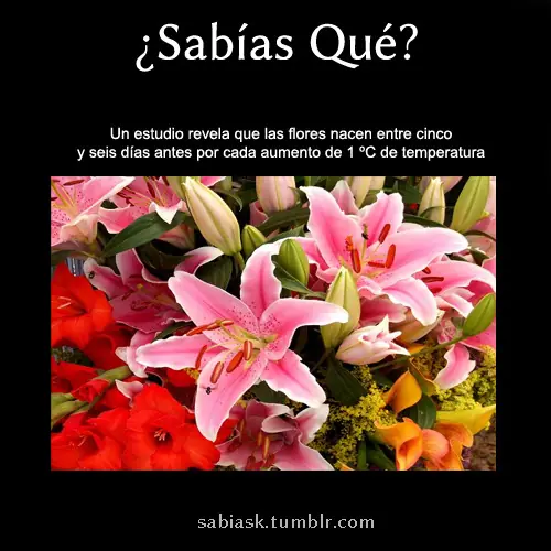 info
