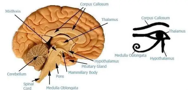 matematicas matematicas