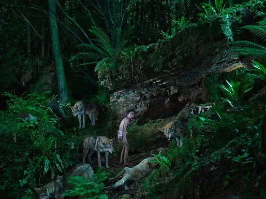 animales