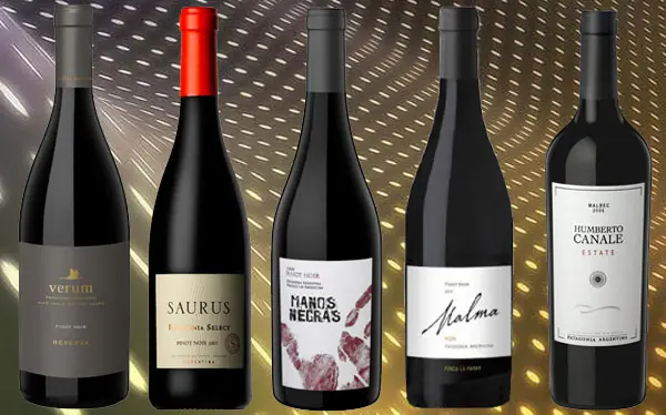 En la patagonia también hay buenos vinos