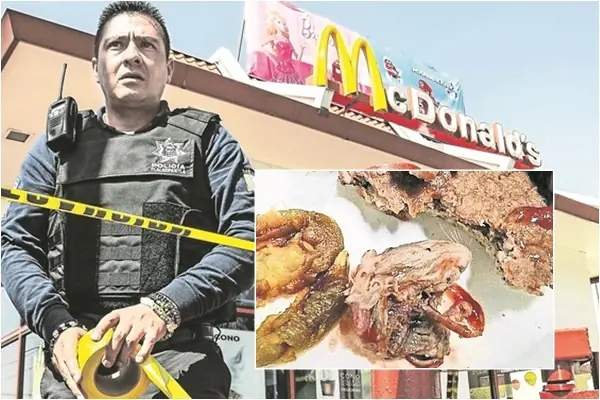 descubren