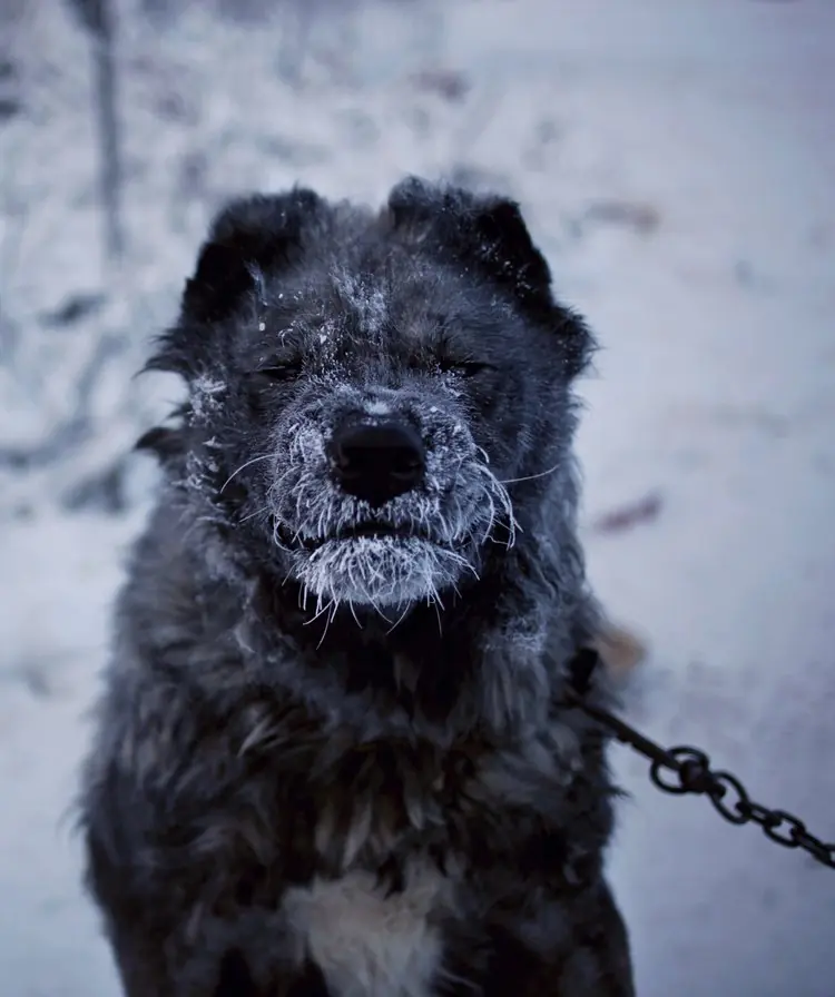Yakutsk Yakutsk
