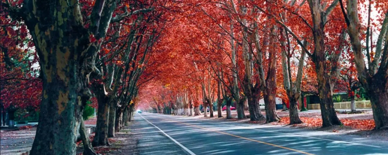 tucuman