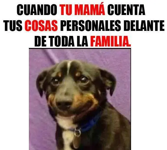 humor