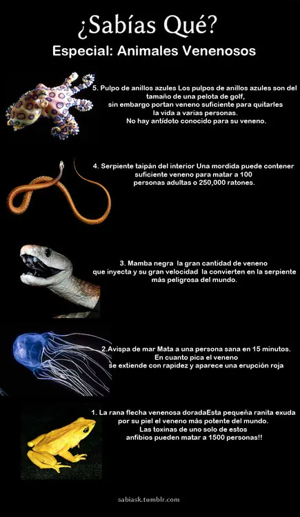 ¿Sabías qué...? parte 4