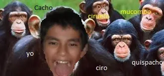 desnutricion