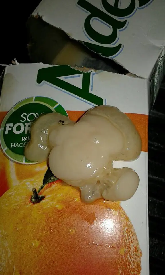 empezaron con las porquerías