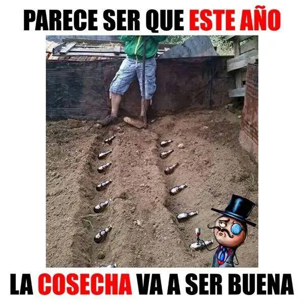 navideno