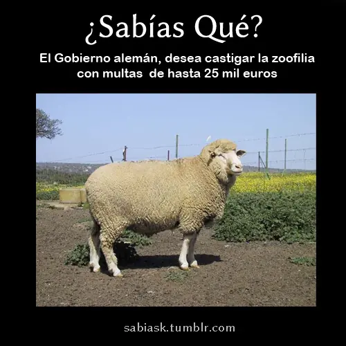 curiosidades