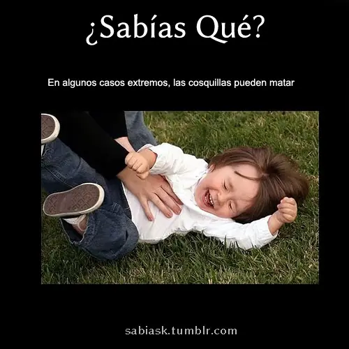datos curiosos