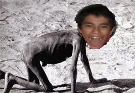 quispe