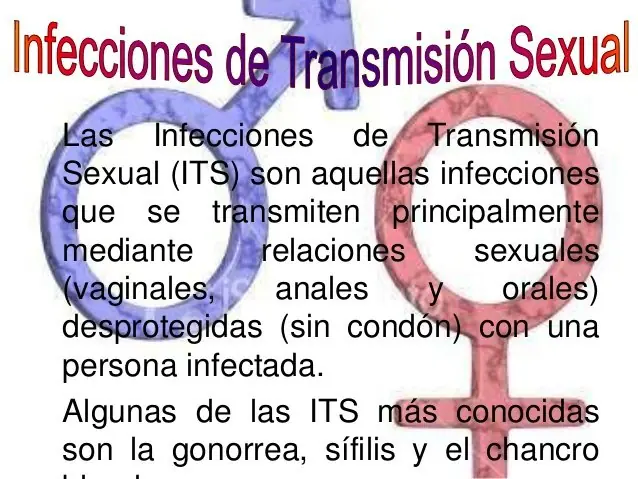 navidad