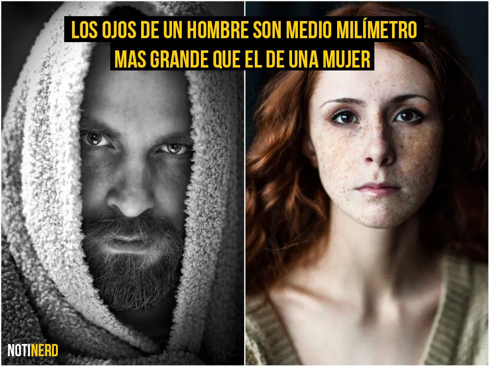 Curiosidades acerca de los ojos que probablemente no sabías
