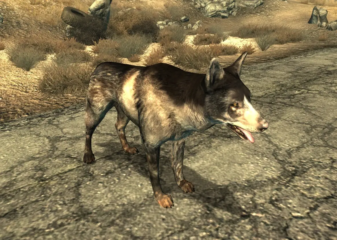 bethesda softwork