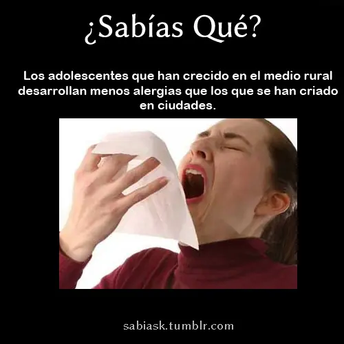 noticias curiosas