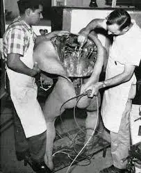 deep web