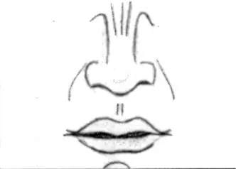 tutorial