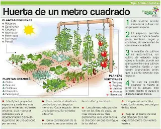 homegrown