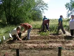 Cultivar nuestros alimentos, cómo hacerlo.