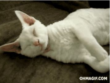 Los mejores Gifs de la semana
