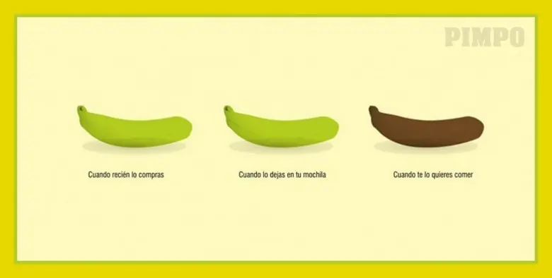 frases