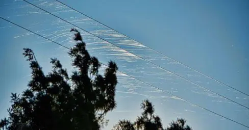 Científicos Aterrorizados Por lo Que Llueve En Arizona