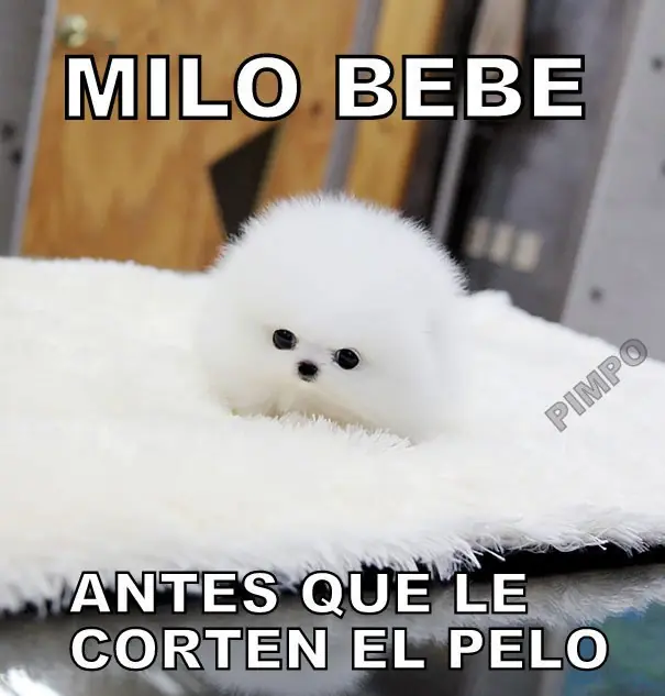 imagenes