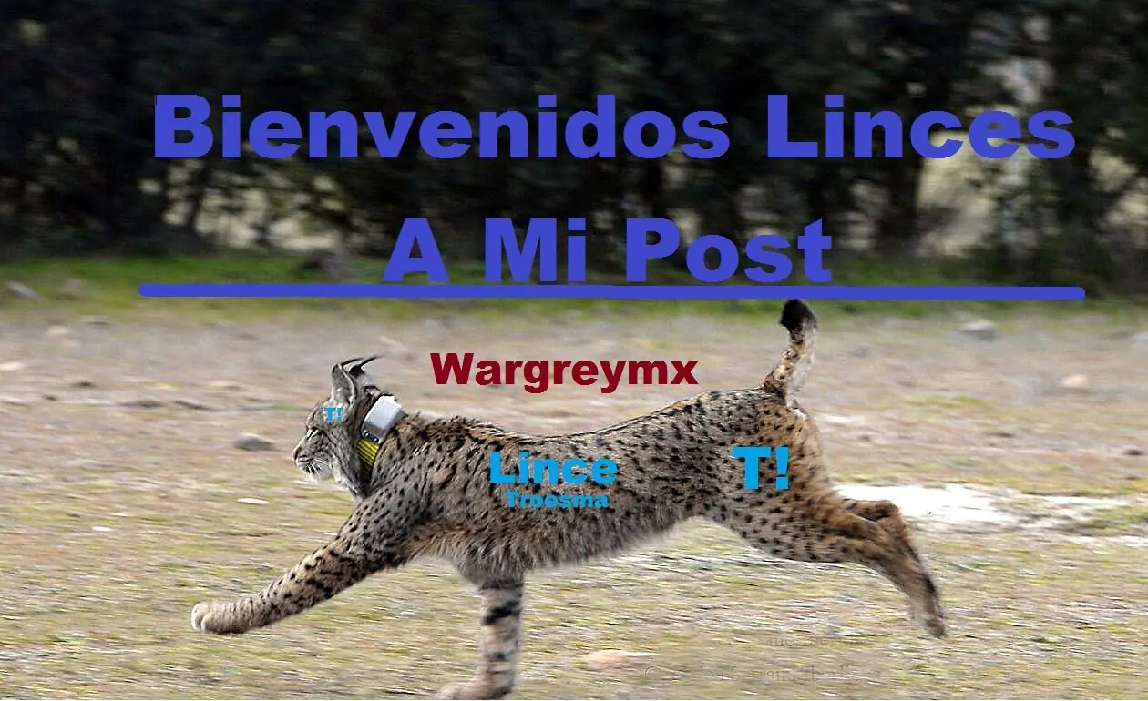 Me hice una paja navideña en casa ajena y te lo cuento