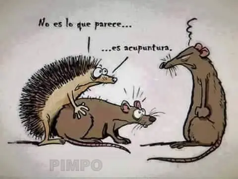 imagenes