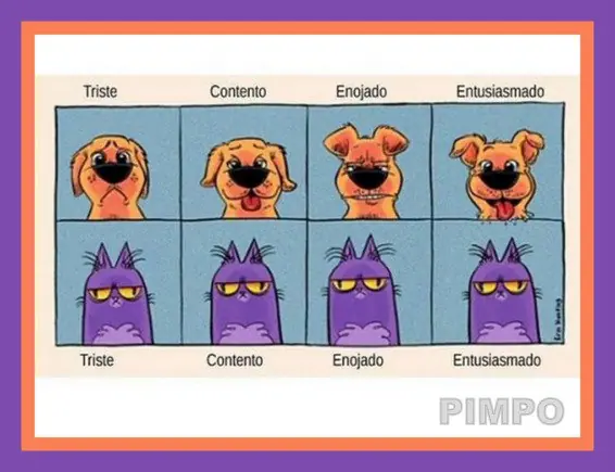 gif graciosos