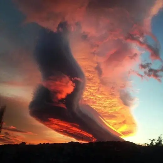 lenticulares