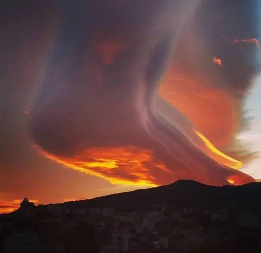 gigante