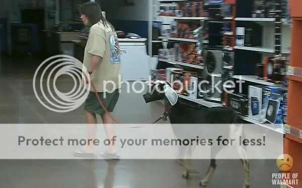 Megapost, La Gente de WalMart XD