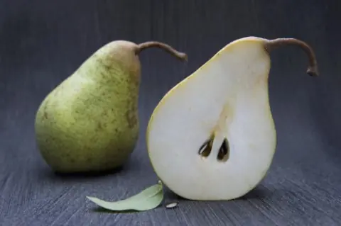 vitamina vitamina
