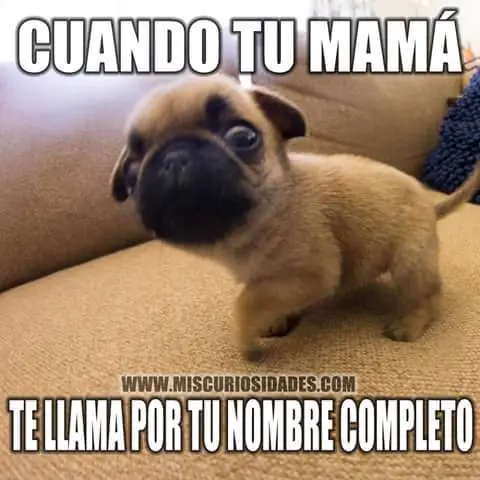 imagenes imagenes