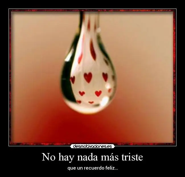 amor amor