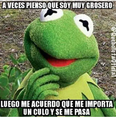 Rato Rato