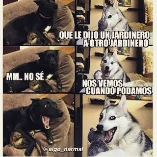 humor