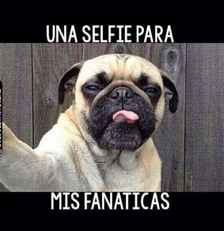 imagenes imagenes