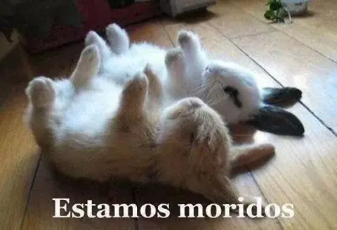 imagenes imagenes