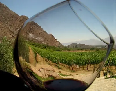 Vino chileno:posicionado como unos de los mejores del mundo