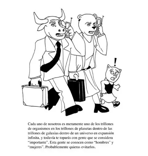 20 verdade