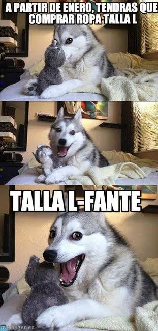 Reite De Los Chistes Del Perro (Meme Del Perro)