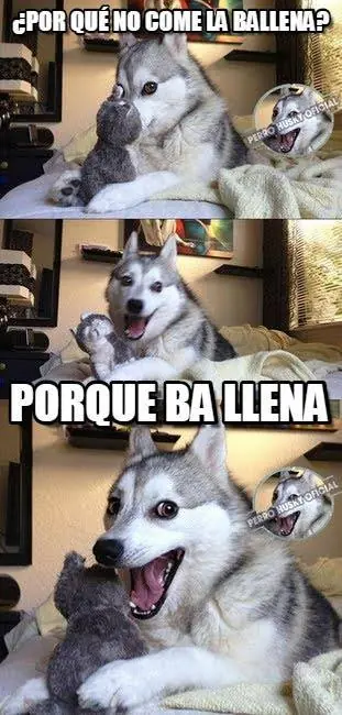 meme