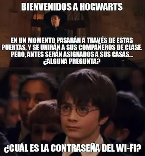 grafico grafico