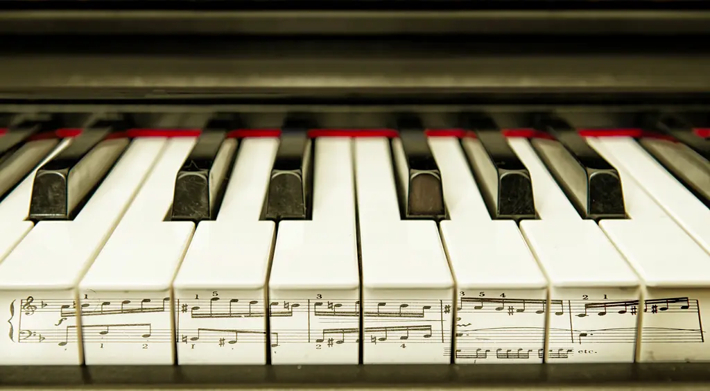 Beneficios Que Nos Trae La MÚSICA