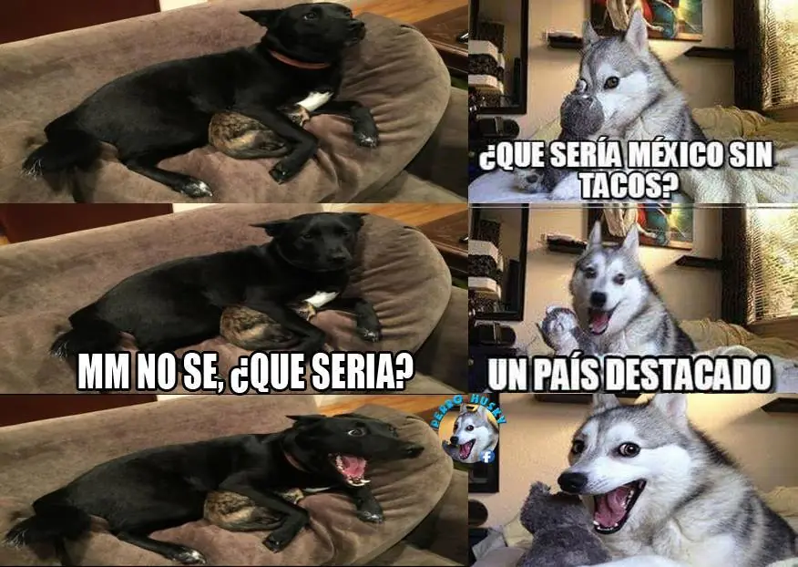 humor