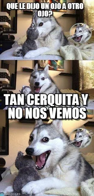 perro